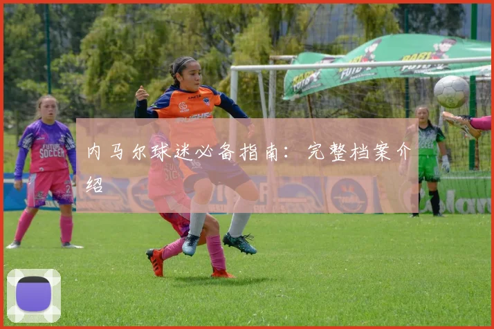 内马尔球迷必备指南：完整档案介绍