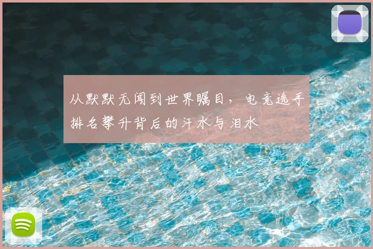 从默默无闻到世界瞩目，电竞选手排名攀升背后的汗水与泪水